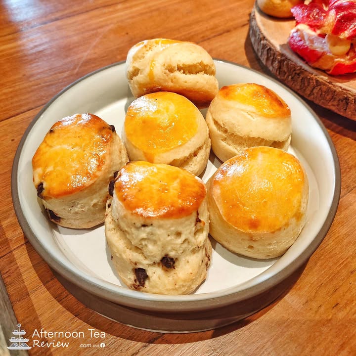 Plain and chocolate chip scones